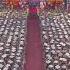 SHS Graduation 2024