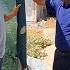 Rasoul S Happy News For Mr Lawyer About Finding His Wife S Number
