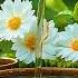 Relaxing Beautiful Music Calm Music 59 Bamboowatersounds Relax Meditationmusic