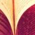 Felix Jaehn Feat Polina Book Of Love Extended Mix