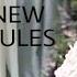 Jennie Lisa New Rules