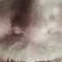 Gruesome Nighty Night Horror Song Lullaby For Rotten Children Shorts Shorts Freaky Scary Dark