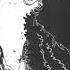IF SHANKS DIDN T STOP KAIDO
