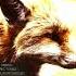 Donna Marie NZ Fruition Original Mix Massive Harmony