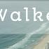 Alan Walker ID New Song 2026