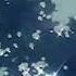 Ariana Grande I Wish I Hated You Slowed Reverbed