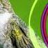 Papaya Tubebackr Free Copyright Safe Music