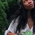 Moss Melodies 2 Hours Healing Guitar Frequencies Become One With The Present Moment