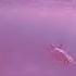 Where Is My Mind Slowed Reverb Piano Version