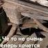 Курва ужик Landrover Discovery Snake