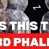 Is This The OLDEST 3D PHALLIC Symbol Ever Found