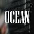 RayRizzle Ocean Official Video