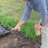 The Easiest Way To Get Your Garden Ready