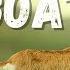 12 Interesting And Incredible Facts About Goats