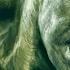 Hulk Vs Tanks Hulk 2003 Movie Clip Blu Ray 1080p