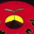 Jah Mason Ganja For Life Botanika Sound DUBPLATE