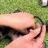 DIY Drill Fix You Need To Know
