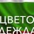 Gabriela Yordanova Ivan Stoyanov Colour Of Hope Bulgaria Lyrics JESC 2015 ENGLISH SUB