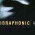 Vibraphonic On A Roll