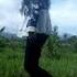 GREETING LEAVES FOR COOKING LETS ENJOY THE RURAL NATURE