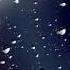 Song Haye Say Goodbye Ft Sound Of Nature