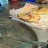 Chicken Sormaa Indore Sorma Shortvideo Youtubeshorts Explore Videoshow