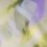 Fairy Tail Childhood Memories AMV