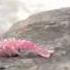 Gin Wigmore I Do Official Music Video
