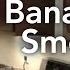 How To Make A Chocolate Banana Nut Smoothie Transform Your Kitchen Episode 37