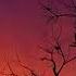 Black 8 Before The Rising Dawn Dmitry Molosh Remix