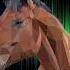 Horse And Carriage Free Sound Effect Youtube Audio Library