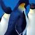 DreamWorks Happy Feet Opening Scene