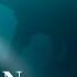 3 Hours Of Unexplained Ocean Mysteries To Fall Asleep To