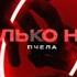 Пчела Только нет V Love Remix