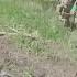 Ukraine Military Launches Counteroffensive Against Russian Forces