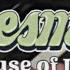 Lettuce House Of Lett Synth Cover