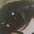 I Turned Vanellope Into Ariana Grande Arianagrande Glowup Disney Disneyprincess Vanellope