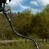 Tripod Strolling On Horsell Common HG Wells The War Of The Worlds