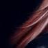SALTINE Tigerblood Jewel IWRITE TV Saltine Hardrock Guitar Rockmusic Alternativerock Metal