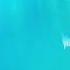Just Dance 2019 Wii Tales Of The Desert 5 Stars