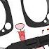 Shotgun Is Your Best Friend Graphic Content 17
