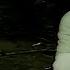 3 Doors Down When I M Gone