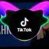 TikTok Mahnıları