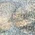 Emperor S New Clothes 360