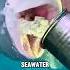 Chilling Out Why Beluga Whales Love Eating Ice Animals Belugas Shorts