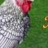 Som Mea Mon Mouy Remix 2021 MV Audio Lyric Thanh Tâm 84