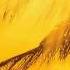Maysa Sunshine