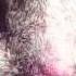 Metodi Hristov Pavel Petrov Pretty Face Original Mix