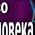 Тонкое устройство мира и человека по книге Н В Левашова Сущность и разум