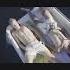 LGBT Love Story A Journey Through Vietnam Gay Movies 2023